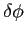 $\delta \phi$